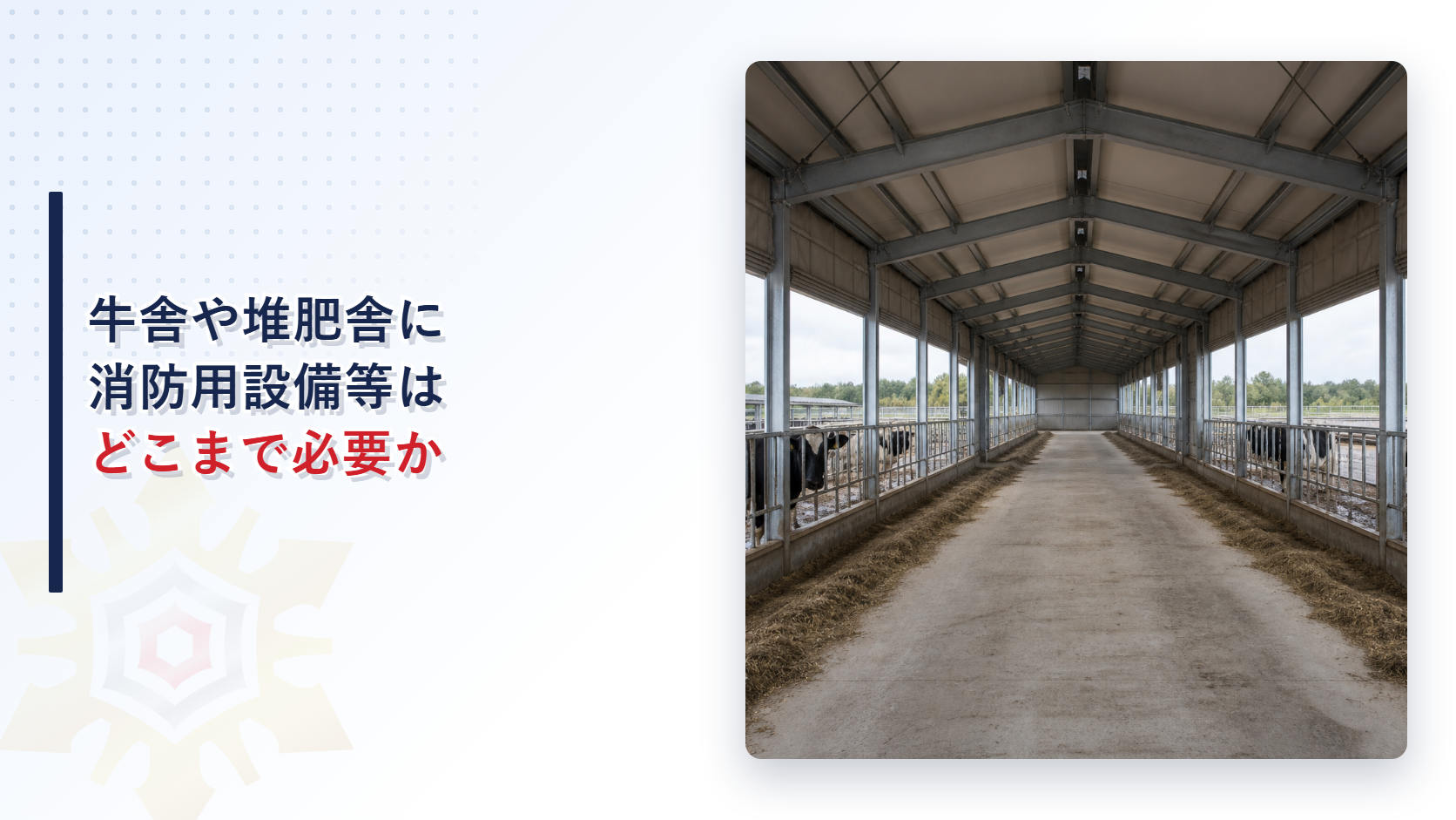 牛舎の内部で通路の両側に牛が並ぶ畜舎の写真