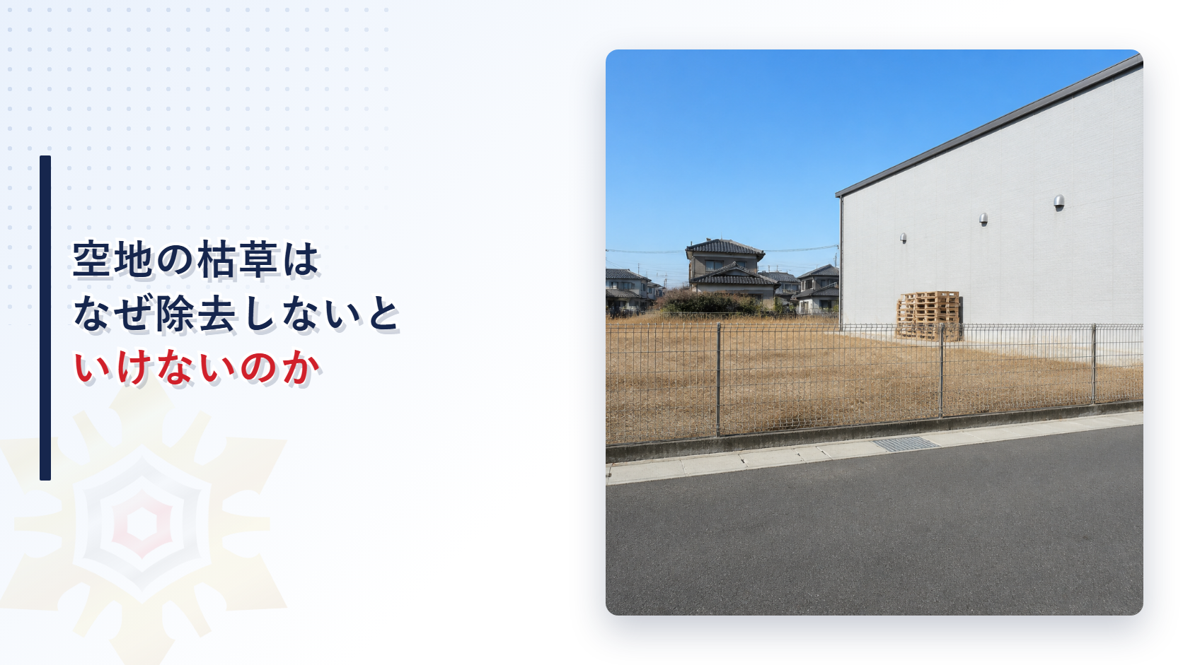 空地の枯草はなぜ除去しないといけないのかという記事のアイキャッチで枯草の生えた空地と隣の建物の外壁が写っている