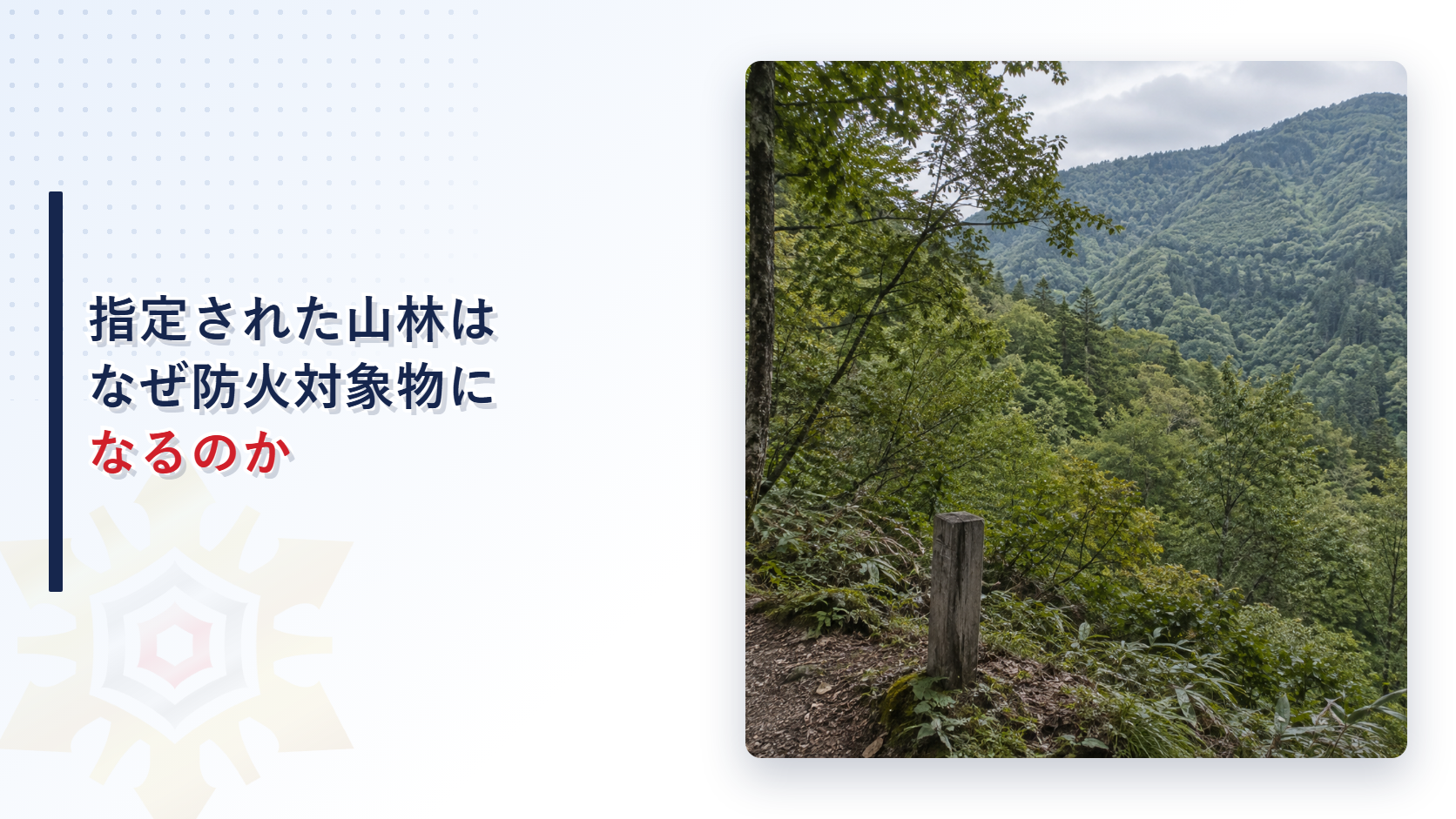 指定された山林はなぜ防火対象物になるのかを表すアイキャッチ画像